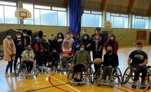 rugby fauteuil