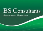 BS Consultants
